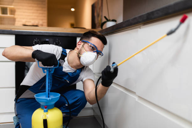 Best Best Pest Control Companies  in Dayton, OH