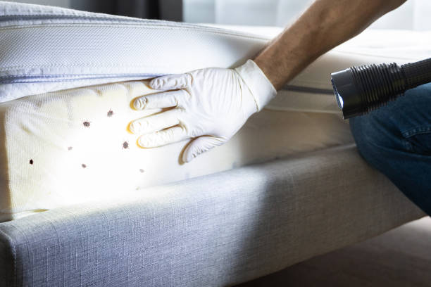 Best Pest Prevention Services  in Dayton, OH